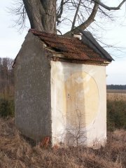pohled zezadu zleva