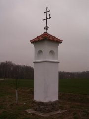 pohled zezadu zleva