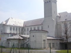 pohled zezadu zleva