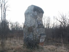 pohled zezadu zleva