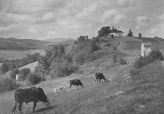 historické foto kapličky (vlevo)