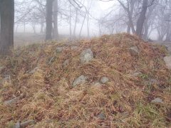 pohled zezadu zprava
