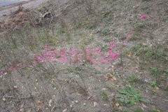 vyznačené nové místo pro kapličku