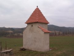 pohled zezadu zleva