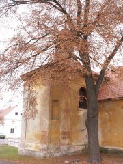 pohled zezadu zleva
