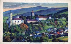 dobová pohlednice města se synagogou