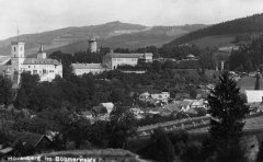 celkový pohled na město se synagogou
