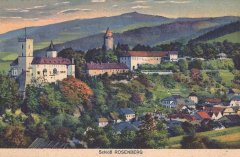 dobová pohlednice města se synagogou