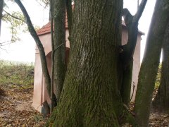 pohled zepředu zprava