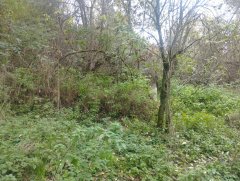 místo, kde kaple stála