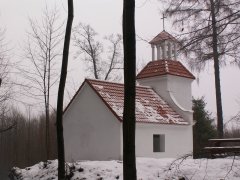 pohled zezadu zleva