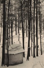 historické foto původní kaple a části křížové cesty