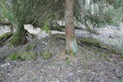 trosky kaple
