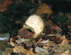 zdevastovaná krypta - to bílé je míč