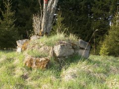 pohled zezadu zleva