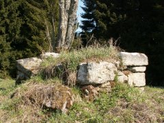 pohled zezadu zleva