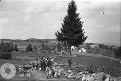 historické foto kaple (vpravo od smrku)