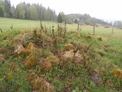 trosky kaple