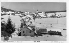dobová pohlednice vsi s kaplí (zcela vlevo, částečně zakryta smrkem)