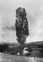 historické foto kaple