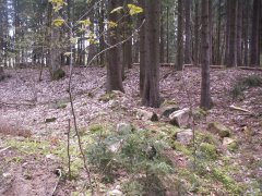 pohled na trosky kaple