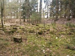 pohled na trosky kaple