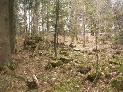 pohled na trosky kaple
