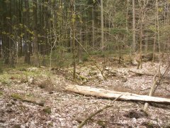 pohled na trosky kaple