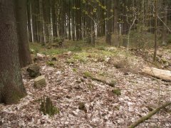 pohled na trosky kaple