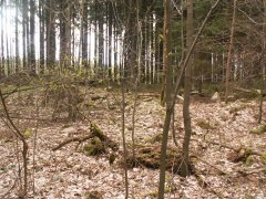 pohled na trosky kaple