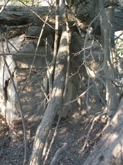 pohled zezadu