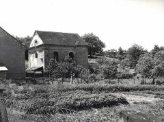 starší foto synagogy