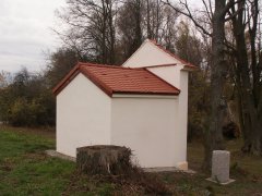 pohled zezadu zleva