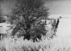 historické foto kaple (uprostřed)