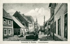 dobová pohlednice vsi se synagogou (v pozadí)