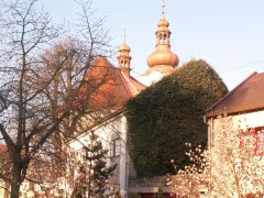 pohled zezadu zleva