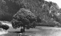 historické foto kaple