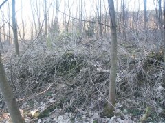 trosky kaple