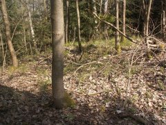 trosky kaple