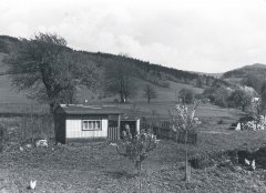 historické foto původní kapličky (na pozadí mezi dvěma stromy)