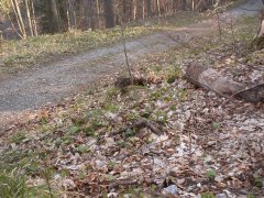 zbytky zdiva kaple