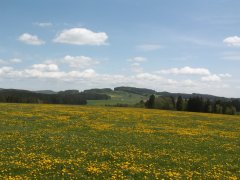 výhled od kaple