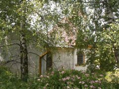 pohled zezadu zleva