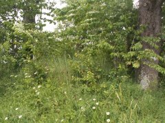 pohled na trosky kaple