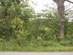 pohled na trosky kaple