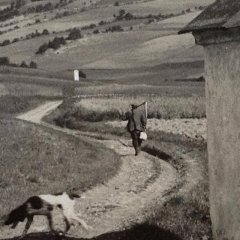 historické foto kapličky (bílý objekt v pozadí, směruje k němu cesta – detail)
