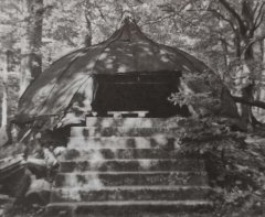 torzo kaple