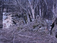 pohled zezadu zleva
