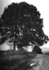 historické foto kaple
