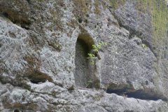 pohled zepředu zleva